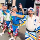 소도시 | 일본 소도시 도쿠시마 마라톤 대회 후기