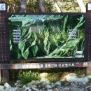 구봉산 주차장 이미지