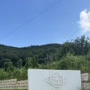 스테이 수림 이미지