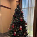 대호주유소 | 노쇼핑, 에어프레미아, 5대캐년, 3대도시 다녀온 후기 - 3일차 : 바스토우 아울렛, 라스베가스...