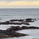 수빈바이크 이미지