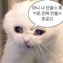 해민 이미지