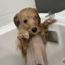 독크루 첨단점 이미지