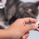 천호동물병원 이미지