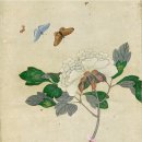 작가를 만나다 글벗을 만나다 이미지