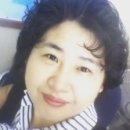 부동산나라공인중개사사무소 이미지