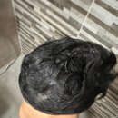 6885 | 독일더마테스트 완료, 영유아 올인원 베이비워시 추천! 사노산 베이비 바스 앤 샴푸 사용후기