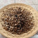 제주탐라단식원&휴미락힐링센터 이미지
