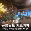 4384 | 시흥 공룡월드 키즈카페/내돈내산/대만족 강추 후기!