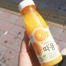241오렌지 이미지