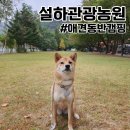 설하관광농원 | 인제 설하관광농원 애견동반캠핑장 개별울타리