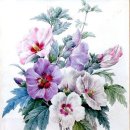 색연필일러스트 이미지