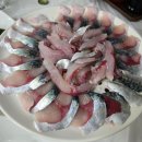 풍성한회나라 | 통영 고등어회 맛집 연화고등어와전갱이 웨이팅 뚫고 먹은 솔직후기