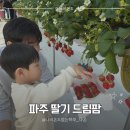 방촌로(1) | 파주 딸기 드림팜 - 아이와 가기 좋은 딸기체험 농장 내돈내산 솔직후기