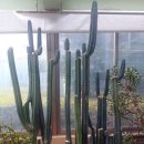 (주)대능 네이버블로그