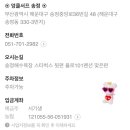 엉클서프
