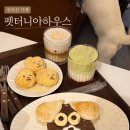 똥꼬 발랄 펫샵 | 성신여대 펫터니아하우스 | 귀여운 강아지가 있는 성북천카페 후기