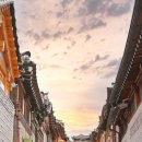 천지 애견 이미지