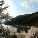 천평낚시터 이미지