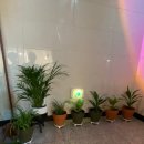 리메이크 짐 이미지