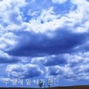 주날개밑