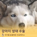 공덕 건강한 동물병원 이미지