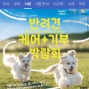 안녕하개 이미지