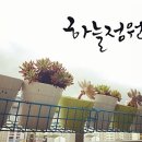하늘정원다육이