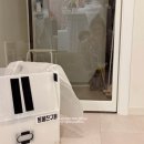 친구들 | 돌 아기 생일축하 셀프 기념촬영, ❛클리어리즘❜ 동물친구들 포토존 대여 후기