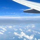 코끼리오락실 이미지