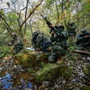 2사단 소식 산악기동부터 교관화 교육까지 ‘고강도 정예화 훈련’-해병대2사단 백호여단 정보중대 이미지