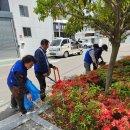 안락1동-1 이미지