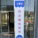 피크베리머치 이미지