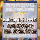 선흘 그리는제주 풀빌라 | 제주도여행 가볼만한곳 선흘그림작업장 폭싹 속았수다 똘도, 어멍도, 할망도 전시관람후기