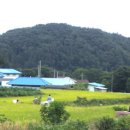 보룡1리 이미지