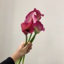 플라워맨카페(flower man cafe) 이미지