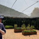 BBQ카페 곤지암리조트점 | [경기광주]곤지암리조트 화담숲 예약 팁, 셔틀이용...체험, 스탬프투어, 모노레일 가격 내돈지출 후기