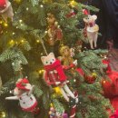 11월 브런치 콘서트 두 대의 피아노 네 개의 손 | 앉으라고, 지금 11월 일상 쓰러 왔잖아!