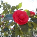 평거동4 이미지