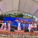 2025 섬 튤립축제 이미지