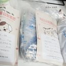 닥터서동물심장병원 네이버블로그