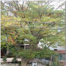 가을민박 이미지