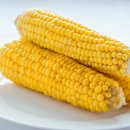 라이크 짐 이미지