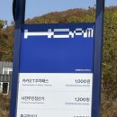 카페일루이스 | [호암미술관 단풍놀이 후기🍁 | 루이스 부르주아 전시 &amp; 호암카페 뷰맛집 탐방]