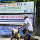 바이크애견 이미지