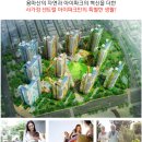 서울면동초등학교병설유치원 이미지