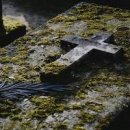 죽은 꿈해몽 죽은오빠꿈 죽은 남편이 웃으며 나타나 음식 먹는 꿈 죽은 사람이 관을 메고 들어오는 꿈 죽은 사람에게 음식을 주는 꿈 죽은 이미지