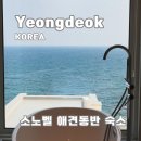 소노 | 영덕 애견동반풀빌라 숙소 추천 파나크 소노벨 후기