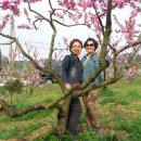 효자병원 이미지