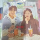 홍콩 간 여우 이미지